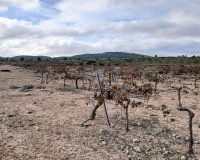 Herverkoop - Perceel / Grond - Yecla