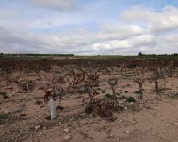 Herverkoop - Perceel / Grond - Yecla