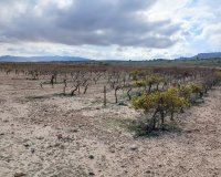 Herverkoop - Perceel / Grond - Yecla