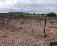 Herverkoop - Perceel / Grond - Yecla