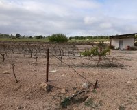 Herverkoop - Perceel / Grond - Yecla