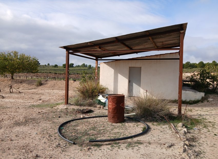 Herverkoop - Perceel / Grond - Yecla