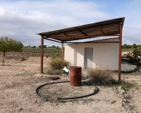 Herverkoop - Perceel / Grond - Yecla