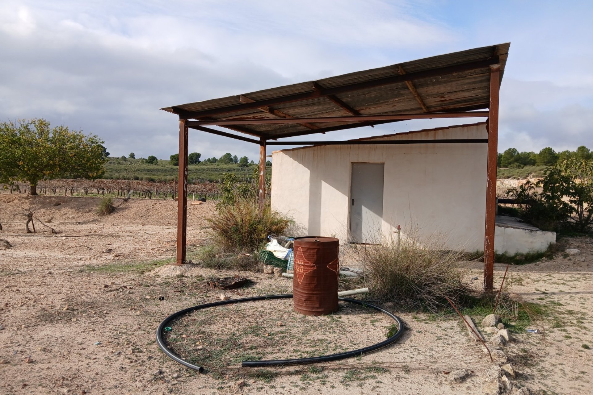 Herverkoop - Perceel / Grond - Yecla