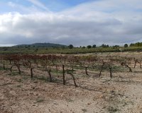 Herverkoop - Perceel / Grond - Yecla