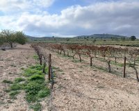 Herverkoop - Perceel / Grond - Yecla