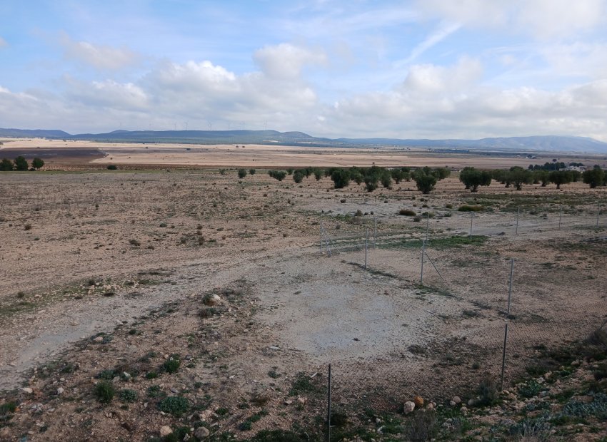 Herverkoop - Perceel / Grond - Yecla