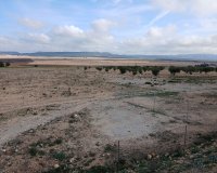 Herverkoop - Perceel / Grond - Yecla