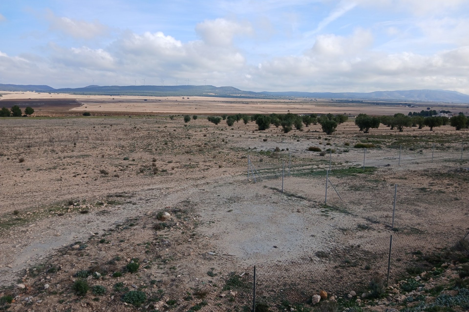 Herverkoop - Perceel / Grond - Yecla