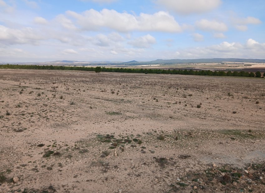 Herverkoop - Perceel / Grond - Yecla