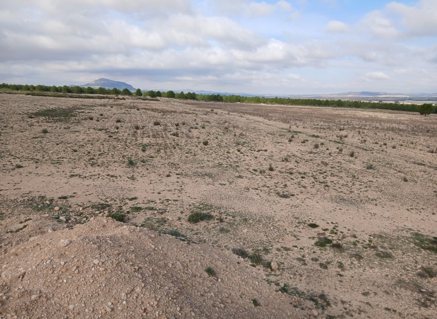 Herverkoop - Perceel / Grond - Yecla