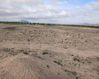 Herverkoop - Perceel / Grond - Yecla