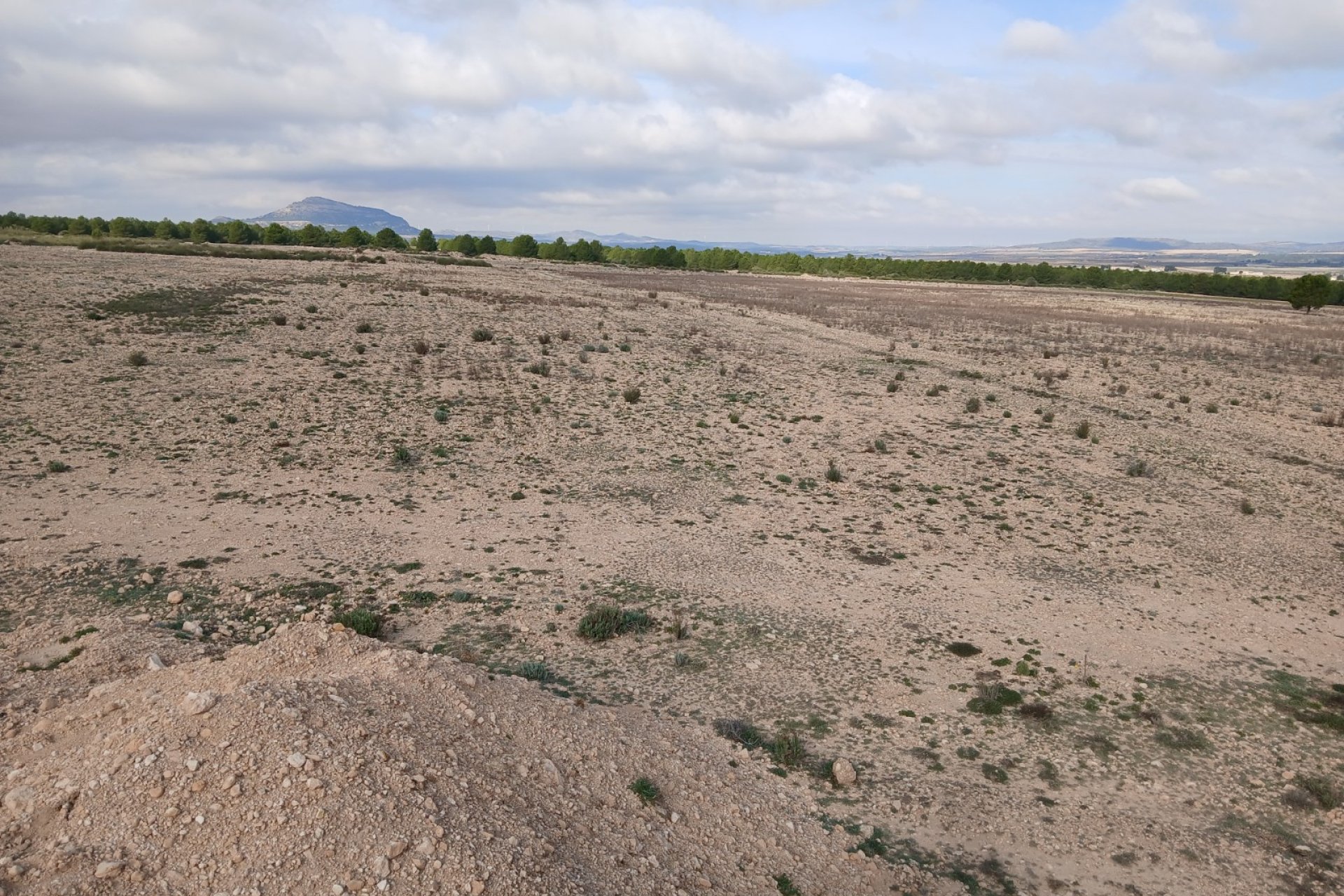 Herverkoop - Perceel / Grond - Yecla