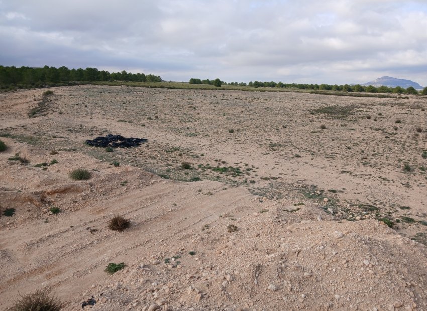 Herverkoop - Perceel / Grond - Yecla