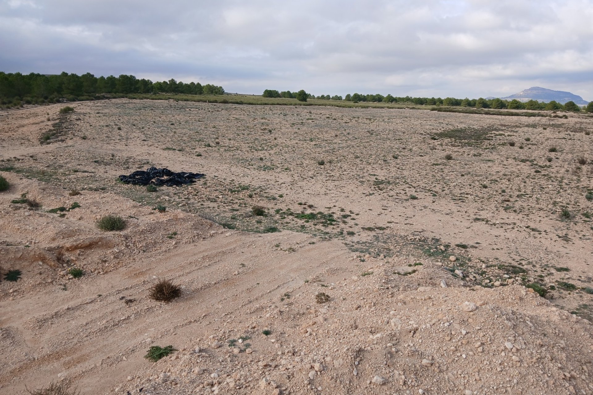 Herverkoop - Perceel / Grond - Yecla