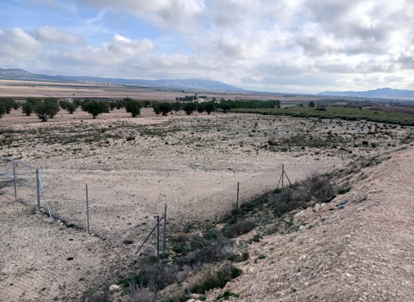 Herverkoop - Perceel / Grond - Yecla