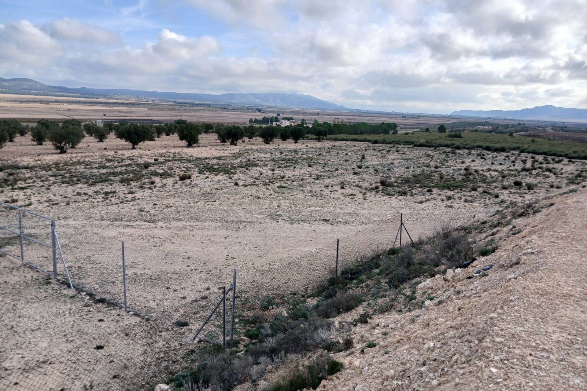 Herverkoop - Perceel / Grond - Yecla
