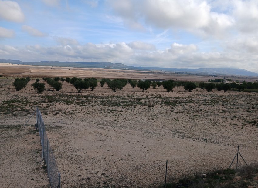 Herverkoop - Perceel / Grond - Yecla