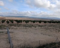 Herverkoop - Perceel / Grond - Yecla