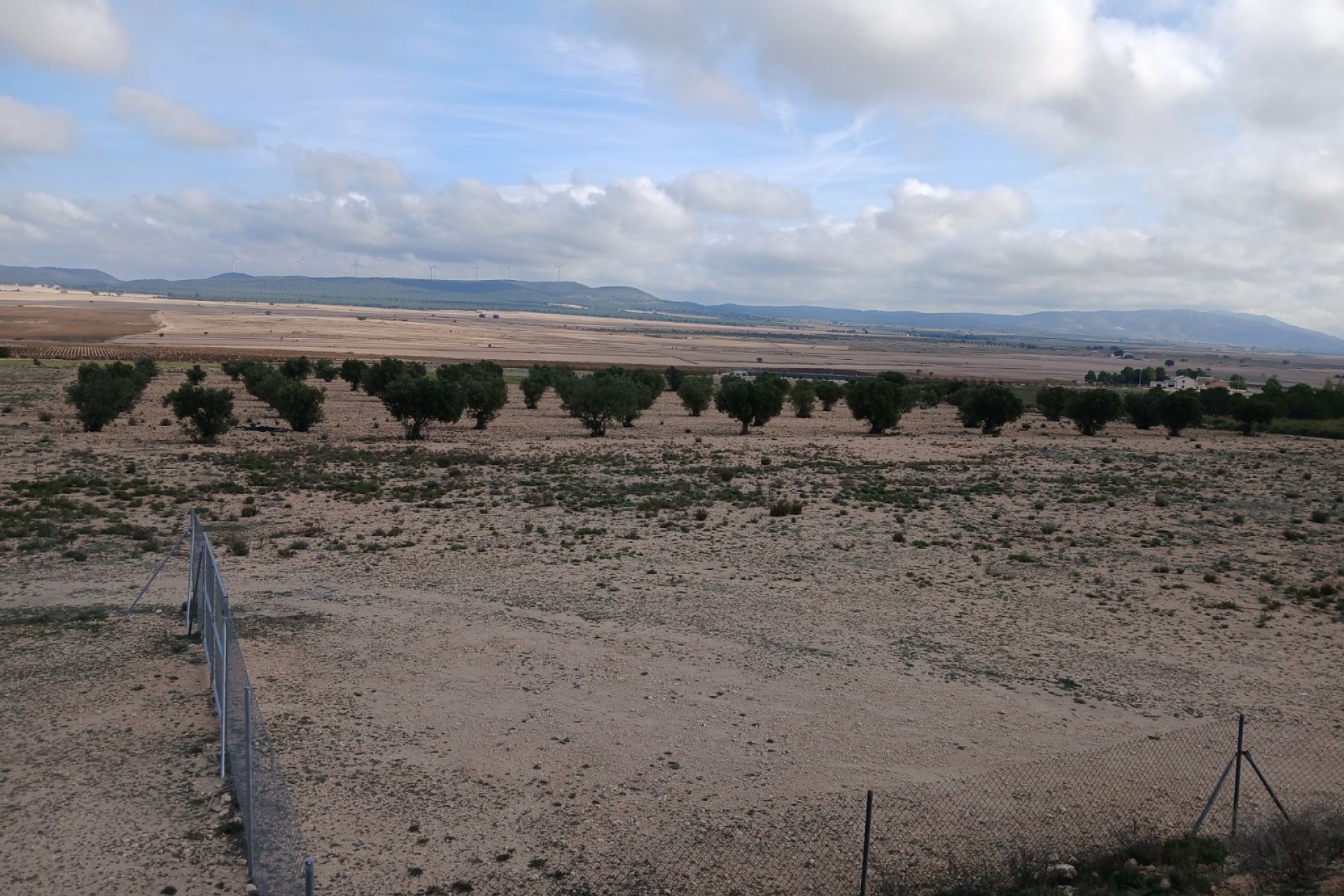 Herverkoop - Perceel / Grond - Yecla