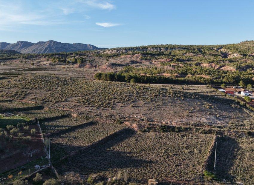 Herverkoop - Perceel / Grond - Yecla