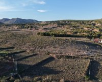 Herverkoop - Perceel / Grond - Yecla