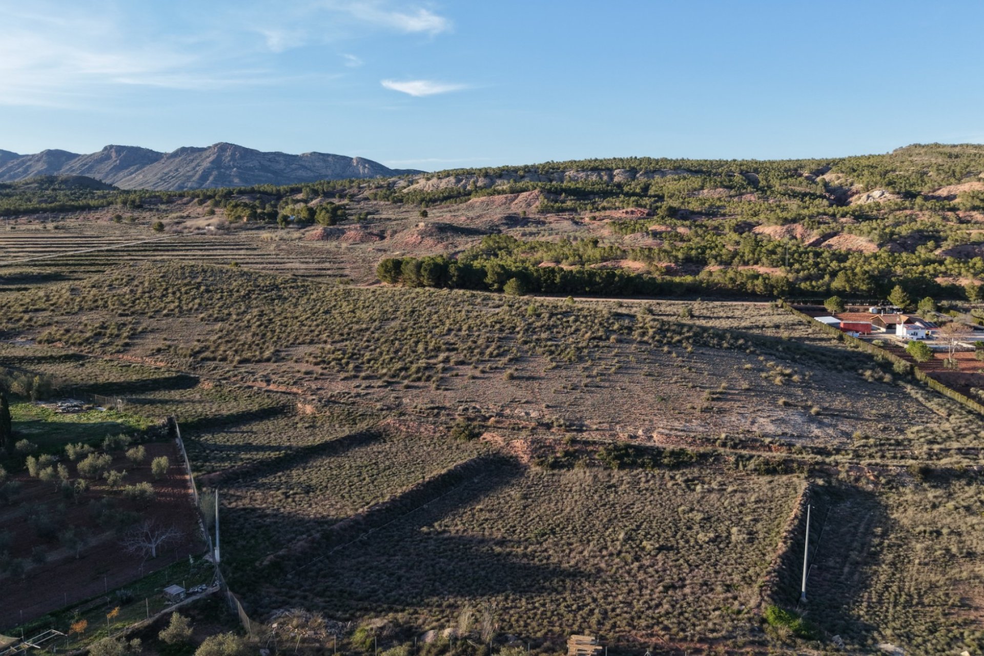 Herverkoop - Perceel / Grond - Yecla