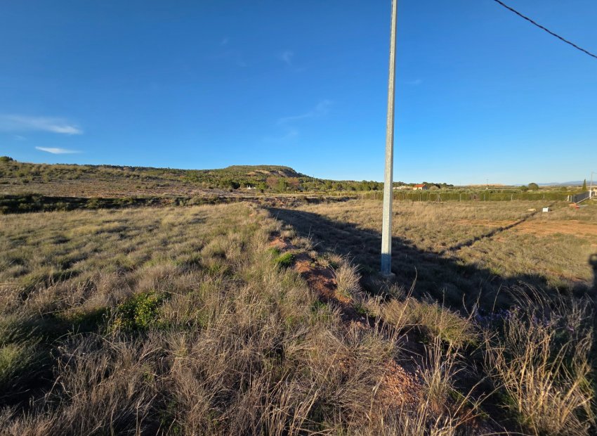 Herverkoop - Perceel / Grond - Yecla