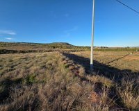 Herverkoop - Perceel / Grond - Yecla