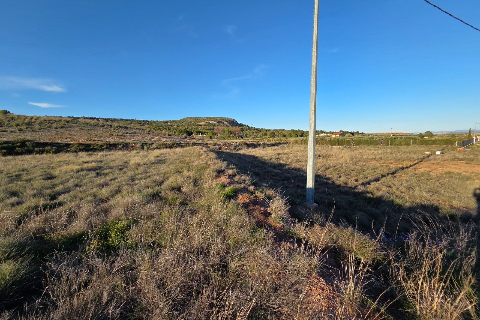 Herverkoop - Perceel / Grond - Yecla