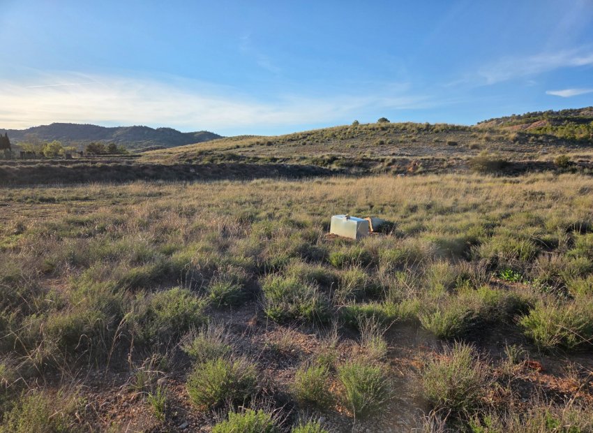 Herverkoop - Perceel / Grond - Yecla