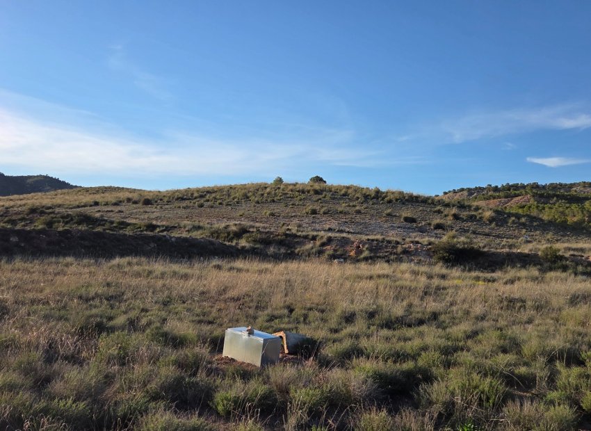 Herverkoop - Perceel / Grond - Yecla