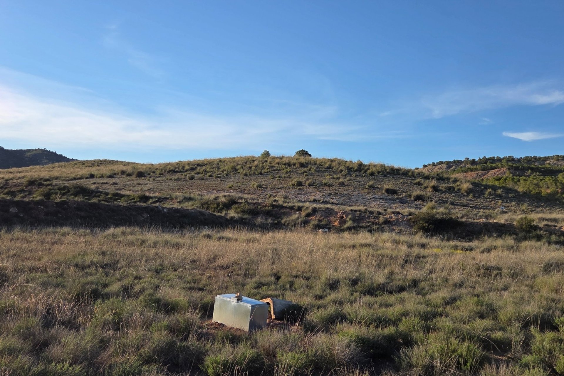 Herverkoop - Perceel / Grond - Yecla