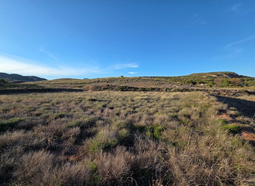 Herverkoop - Perceel / Grond - Yecla