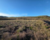 Herverkoop - Perceel / Grond - Yecla