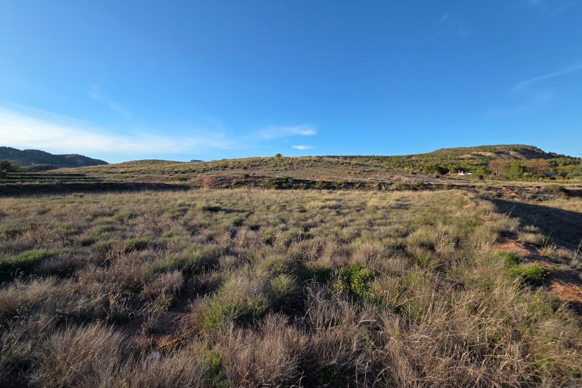 Herverkoop - Perceel / Grond - Yecla