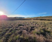 Herverkoop - Perceel / Grond - Yecla