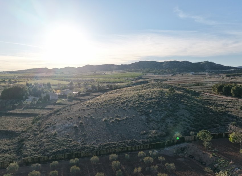 Herverkoop - Perceel / Grond - Yecla