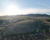 Herverkoop - Perceel / Grond - Yecla