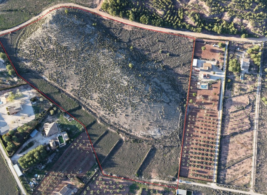 Herverkoop - Perceel / Grond - Yecla