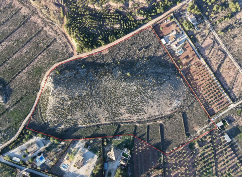 Herverkoop - Perceel / Grond - Yecla