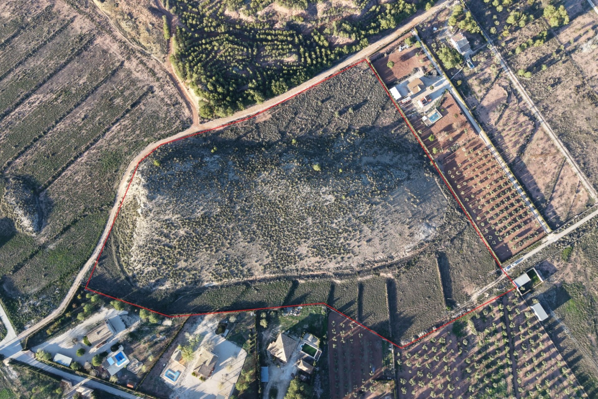 Herverkoop - Perceel / Grond - Yecla