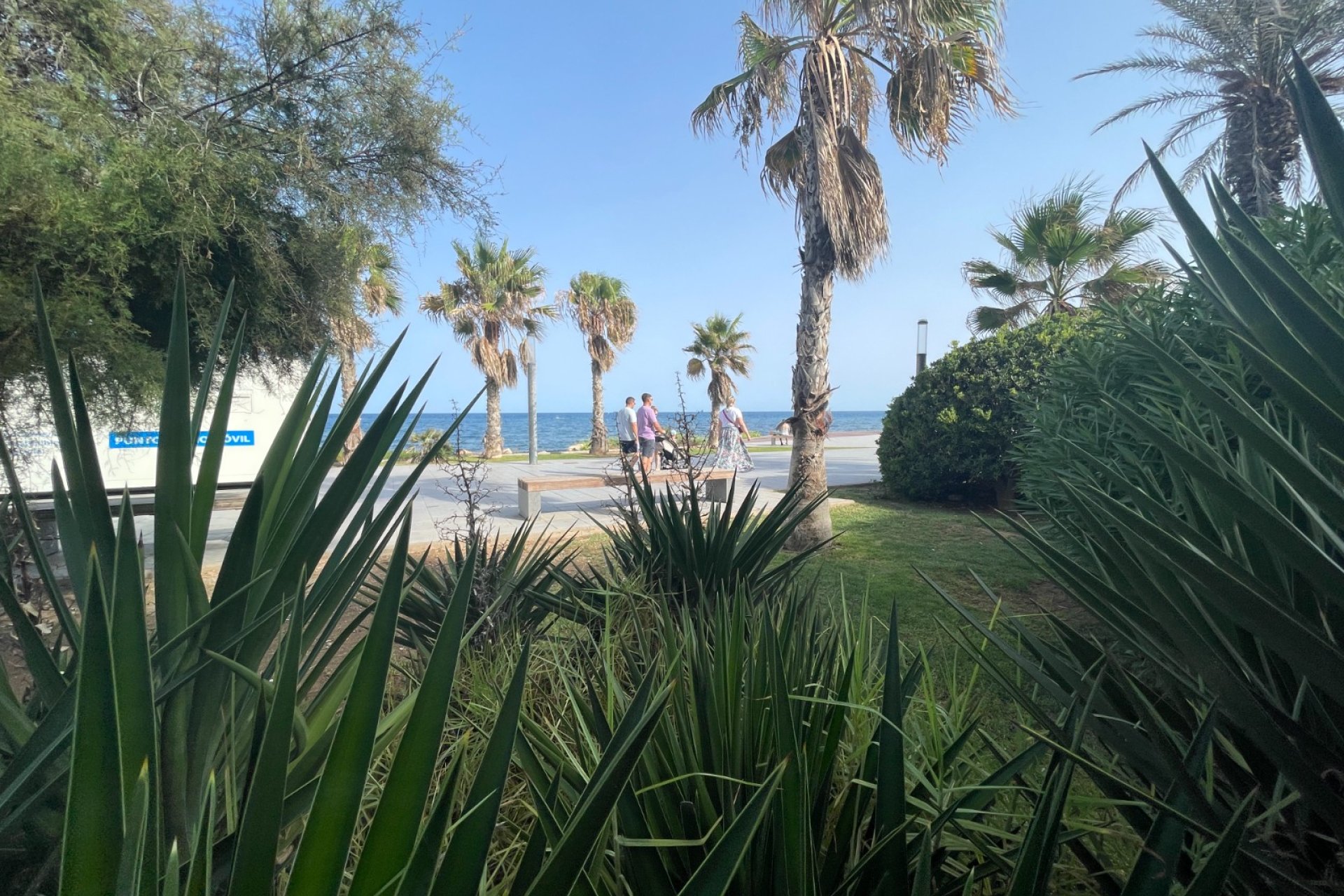 Herverkoop - Reclame - Torrevieia - Comunidad Valenciana