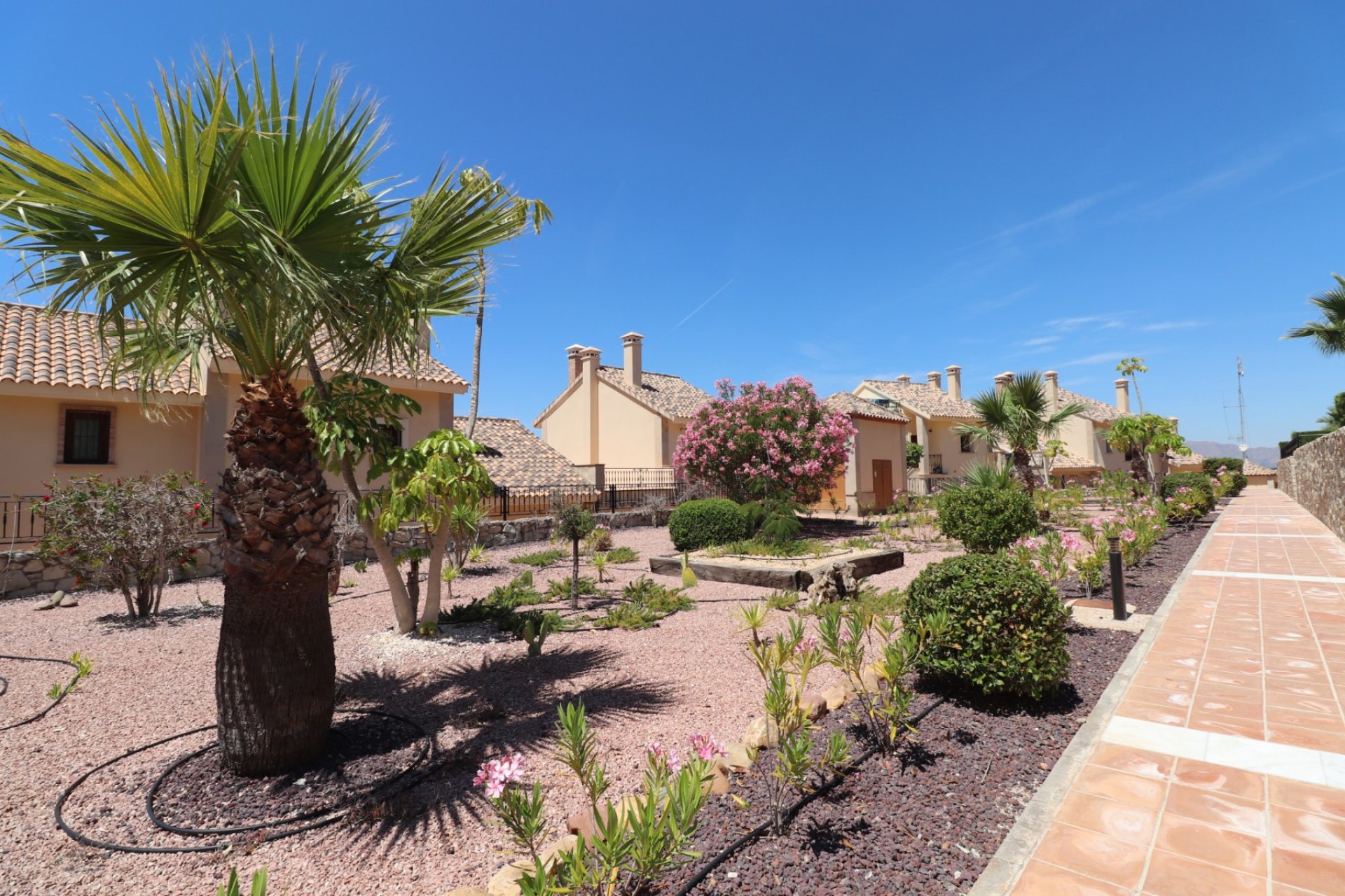 Herverkoop - Townhouse / Duplex / Corner - Algorfa - La finca Golf