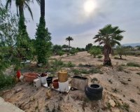 Herverkoop - Townhouse / Duplex / Corner - Elche - Matola