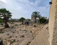 Herverkoop - Townhouse / Duplex / Corner - Elche - Matola