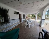 Herverkoop - Townhouse / Duplex / Corner - Elche - Matola