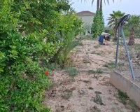 Herverkoop - Townhouse / Duplex / Corner - Elche - Matola