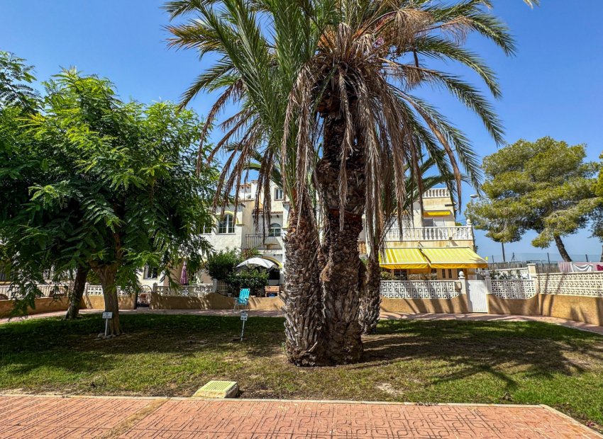 Herverkoop - Townhouse / Duplex / Corner - San Miguel de Salinas - Bellavista