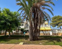 Herverkoop - Townhouse / Duplex / Corner - San Miguel de Salinas - Bellavista